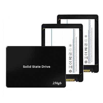 SSD 256GB SAMSUNG/LEXAR/VSP/KINGSTON/KINGMAX 2.5INCH (2ND)